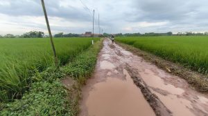 Infrastruktur di Bekasi Rusak, Ketua DPRD: Tanpa Political Will Cuma Omon-Omon