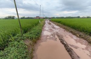 Infrastruktur di Bekasi Rusak, Ketua DPRD: Tanpa Political Will Cuma Omon-Omon