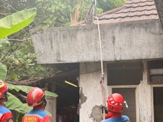 Sempat Menggigit Warga, Monyet Peliharaan di Margahayu Diamankan Damkar