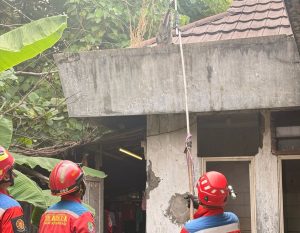 Sempat Menggigit Warga, Monyet Peliharaan di Margahayu Diamankan Damkar