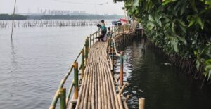 Jembatan Bambu dan Hutan Mangrove, Wisata Sungai yang Masih Eksis di Bekasi Utara
