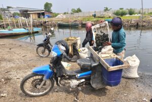 Kerang Menyusut Akibat Limbah, Nasib Nelayan Pantai Makmur Berubah Drastis