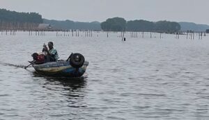 Labirin Bambu di Perairan Tarumajaya: Penanda Jalan dan Penghidupan Nelayan