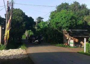 Lebih dari Sekadar Nama, Peran Jalan Mandor Demong bagi Warga Mustikajaya