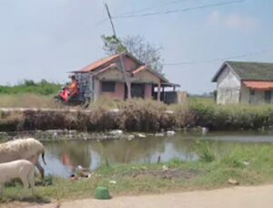 Kampung Gedong Jaya: Saat Kemarau Tandus, Saat Hujan Kebanjiran