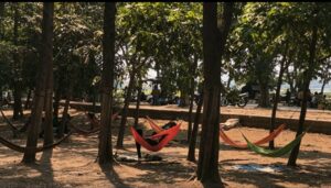 Rindang Pinus Hutan Kota Cikarang, Warga Nikmati Waktu Santai Pasang Hammock