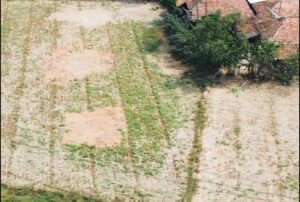 Dampak El Nino, Kemarau di Kabupaten Bekasi Diperkirakan Berlanjut hingga September