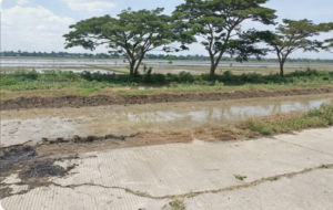 Menyibak Asal-Usul Nama Kampung Kobak Rante di Pebayuran