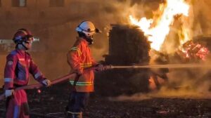 Kemarau Picu Lonjakan Kebakaran di Bekasi, Tercatat 83 Kasus dalam Sebulan