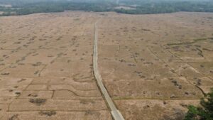 Ribuan Hektare Sawah di Kekeringan, Distan Kabupaten Bekasi Sarankan Benih Padi Hemat Air