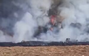 Kebakaran Suryakencana Gunung Gede Pangrango Diduga Kompor Meledak, Jalur Pendakian Ditutup Sementara