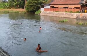 “Ngobak” di Saluran Irigasi, Cara Bocah Ciranggon Memanfaatkan Alam