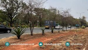Dampak Kemarau, Pepohonan di Jantung Kota Bekasi Mengering dan Gersang