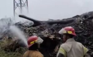 Kebakaran di Rest Area Tol Jakarta-Cikampek KM 19, Lokasi Berada di Bawah Jalur Kereta Cepat