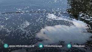 Busa dan Bau Tak Sedap Kembali Hiasi Aliran Kali Bekasi