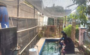 Warga Bekasi Timur Sulap Lahan Sempit Jadi Ruang Interaksi dan Terapi Ikan