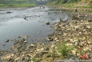 Kekeringan Meteorologis: Rawa di Rawalumbu Mengering, MUI Imbau Warga Salat Istisqa