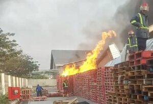 Gudang Marketplace di Delta Silicon 3 Cikarang Dilalap Api, Penyebab Masih Diselidiki Polisi