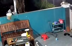 Pemulung Diduga Gondol Makanan Kucing di Tambun, Warga: Barang Lain Juga Sering Hilang