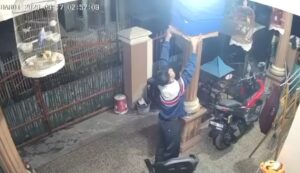 3 Burung Kicau Milik Warga Kampung Pulo Timaha Digondol Maling Terekam CCTV