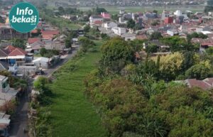 Kali Pisang Batu Tertutup Eceng Gondok Lebih dari 1 Km, Berisiko Hambat Aliran Air