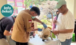 Cegah Rabies, Vaksinasi Gratis Hewan Peliharaan di Bekasi Selatan