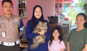 Cimi, Kucing Persia yang Viral Hilang Ditemukan di Jalan Matador