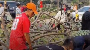 2 Orang Tertimpa Pohon Tumbang Saat Sedang Olahraga Pagi