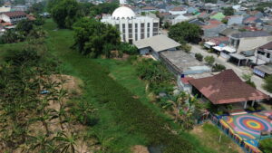 Eceng Gondok Tutup Kali Waru, Sepanjang 2 Kilometer Aliran Kali Tertutup Gulma